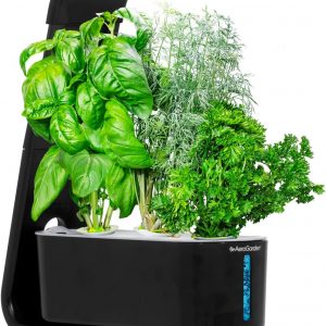 Hydroponic Grow Systems