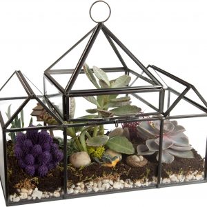 Terrariums